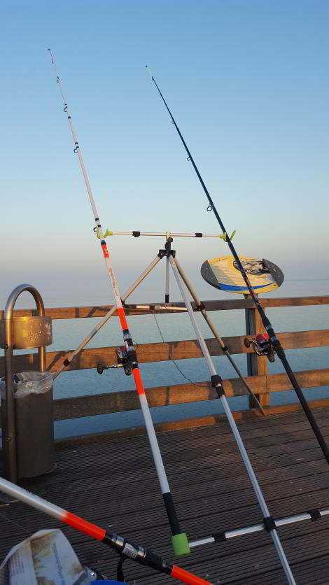 Angelverein Hamburg - SAV-Großlohe e. V. - Fangfoto - Mit uns macht Angeln Spaß!