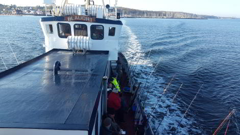 Angelverein Hamburg - SAV-Großlohe e. V. - Fangfoto - Mit uns macht Angeln Spaß!