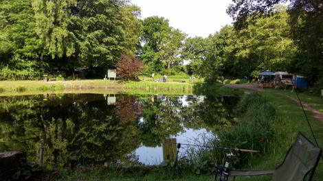 Angelverein Hamburg - SAV-Großlohe e. V. - Fangfoto - Mit uns macht Angeln Spaß!