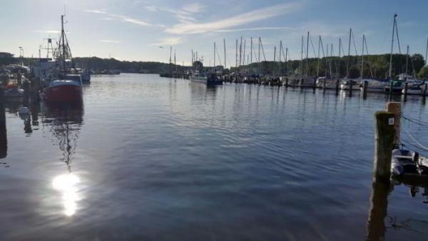 Angelverein Hamburg - SAV-Großlohe e. V. - Fangfoto - Mit uns macht Angeln Spaß!