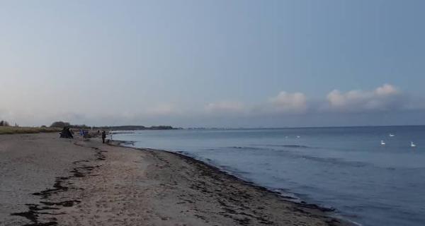 Angelverein Hamburg - SAV-Großlohe e. V. - Fangfoto - Mit uns macht Angeln Spaß!