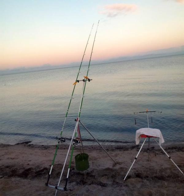 Angelverein Hamburg - SAV-Großlohe e. V. - Fangfoto - Mit uns macht Angeln Spaß!