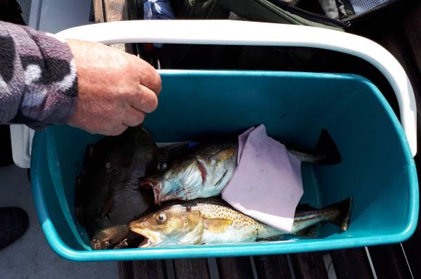 Angelverein Hamburg - SAV-Großlohe e. V. - Fangfoto - Mit uns macht Angeln Spaß!