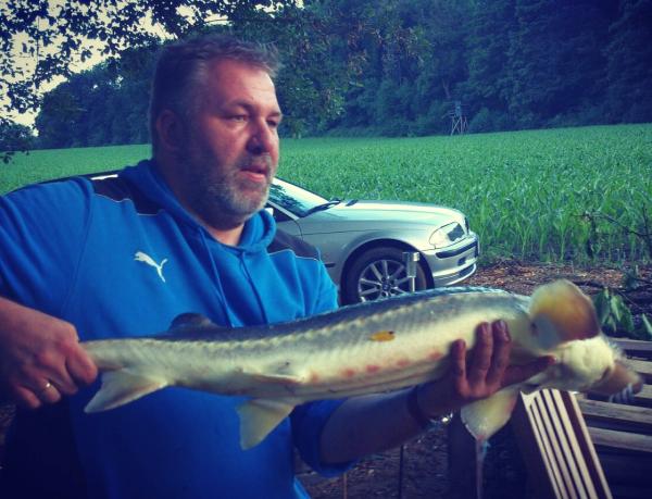 Angelverein Hamburg - SAV-Großlohe e. V. - Fangfoto - Mit uns macht Angeln Spaß!