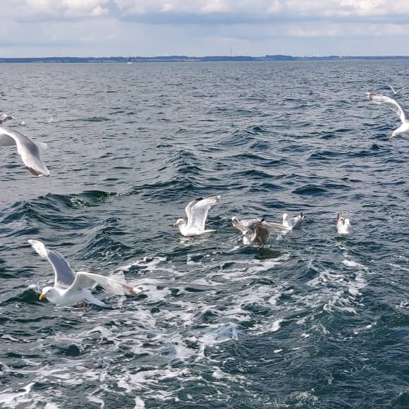 Angelverein Hamburg - SAV-Großlohe e. V. - Fangfoto - Mit uns macht Angeln Spaß!