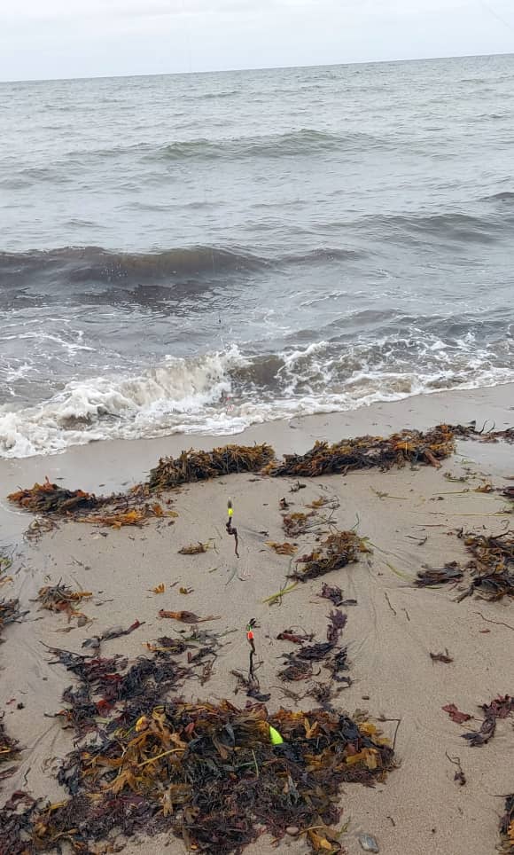 Angelverein Hamburg - SAV-Großlohe e. V. - Fangfoto - Mit uns macht Angeln Spaß!