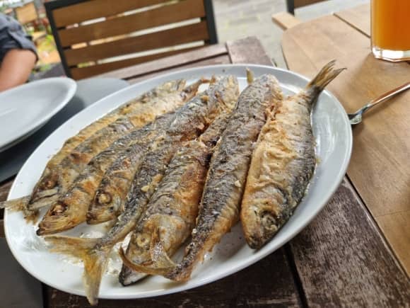 Angelverein Hamburg - SAV-Großlohe e. V. - Fangfoto - Mit uns macht Angeln Spaß!